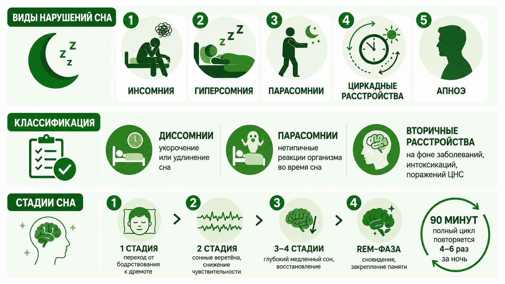 Инфографика о нарушениях сна: основные виды (инсомния, гиперсомния, парасомнии, циркадные расстройства, апноэ), классификация расстройств и стадии сна с продолжительностью полного цикла.
